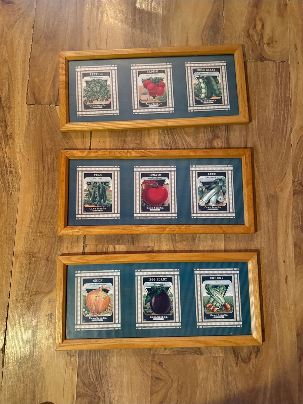 Vintage 3 -Piece Framed Seed Packet Wall Art Set in Teal -
